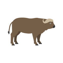 Buffalo icon in flat style, african animal vector illustration