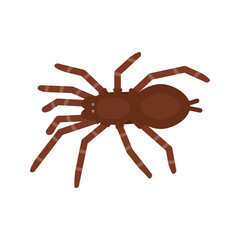 Spider baboon icon in flat style, african animal vector illustration