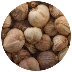 white cardamom pods background