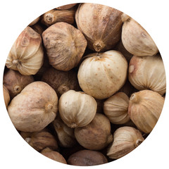 white cardamom pods background