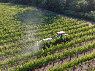 Farm tractor spraying pesticides & insecticides herbicides over green vineyard field. Napa Valley,...