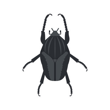 Goliath beetle icon in flat style, african animal vector illustration