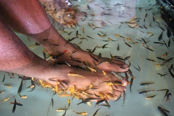 The young man soaked his feet in the water with a small fish, a fish foot spa