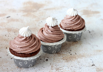 cupcakes with chocolate frosting