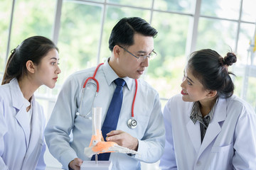 Asian teacher has teaching to student about science and anatomical in laboratory