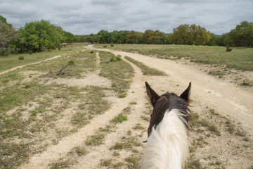 Rider's point of view at the horse, riding near Blanco, Texas