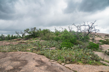 Fototapeta na wymiar Visiting beautiful Enchanted Rock State Natural Area, Texas, United States