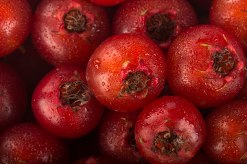 red haw background