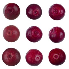 set of cowberries isolated on white background