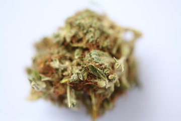 dry cannabis bud medical drug