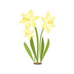 yellow flower. Isolated vector illustration