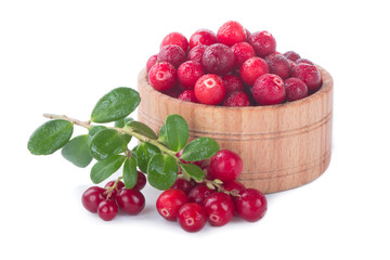 branch of fresh red cowberry and wooden cup isolated on white background