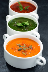 assortment of fresh vegetable soup on a dark background, vertical, closeup