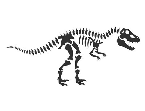 Tyrannosaurus, T-Rex, dinosaur skeleton. reptile bones, Isolated vector illustration