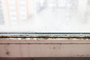 black mold on a plastic window, dangerous to humans