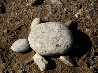 Fototapeta na wymiar pebbles placed in a turtle shape