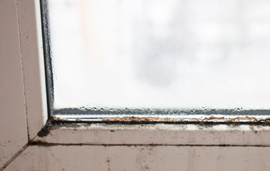 black mold on a plastic window, dangerous to humans