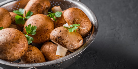 Fresh raw mushrooms champignons in stainless steel colander on Dark grey black slate background with copy space. top view