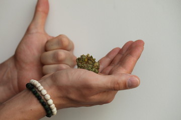 dry medical cannabis marijuana hand