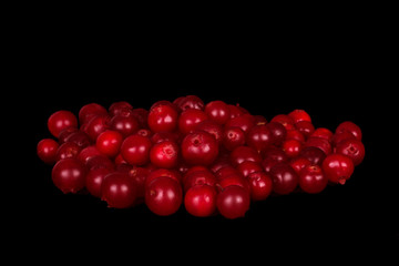 heapof cowberries isolated on black background