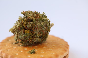 Dry Cannabis Medical Marijuana Cookies