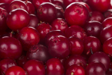 fresh red cowberries background