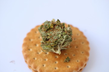 Dry Cannabis Medical Marijuana Cookies