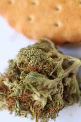 Dry Cannabis Medical Marijuana Cookies