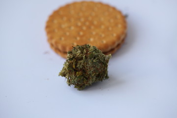 Dry Cannabis Medical Marijuana Cookies