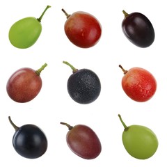 set of colored grapes isolated