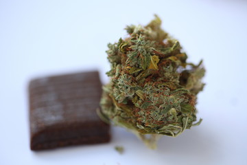 Dry Cannabis Medical Marijuana