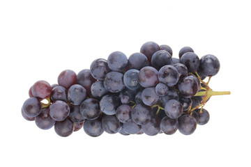 bunch of blue grapes isolated on white