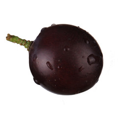black grape isolated on white background