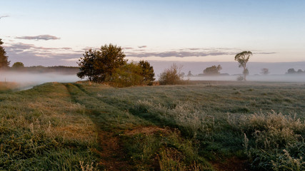 Łąki nad Narwią. Poranne mgły nad łąkami