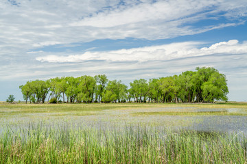 Flooded fields in Nebska Ssndhills