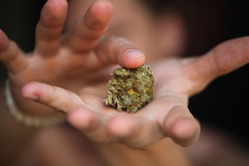 dry medical cannabis marijuana hand