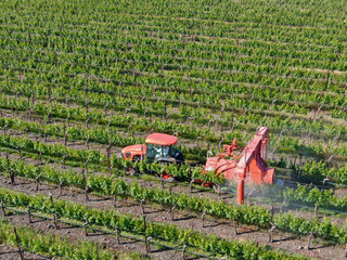 Farm tractor spraying pesticides & insecticides herbicides over green vineyard field. Napa Valley,...