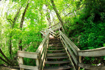 Obraz premium Stairway leading to the top of Amicaloa Falls