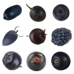 set of black berries isolated on white