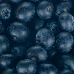 fresh raw blueberries background