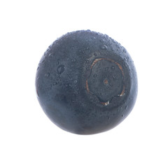 single blueberry isolated on white background