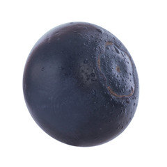 single blueberry isolated on white background