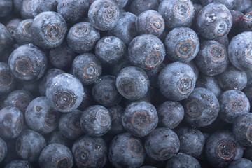 fresh raw blueberries background