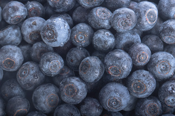 fresh raw blueberries background