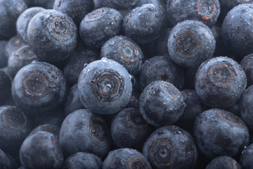 fresh raw blueberries background