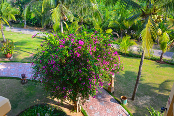 Beautiful view of the garden in Vietnam