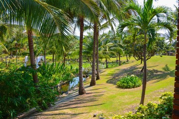 Fototapeta na wymiar Beautiful view of the garden in Vietnam