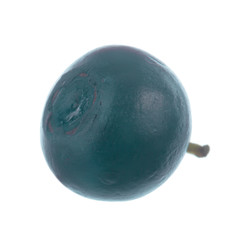 single blueberry isolated on white background