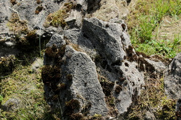 Rocks