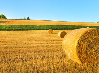 Paesaggio di campagna.